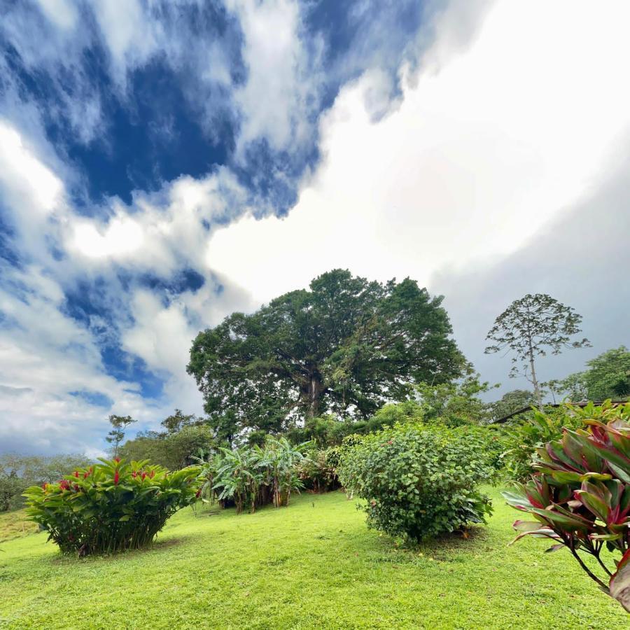 La Ceiba Tree Lodge Tilarán Екстериор снимка