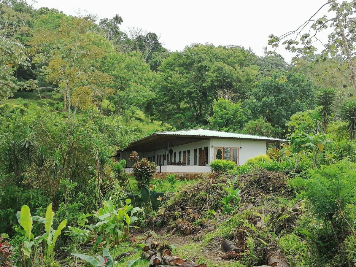 La Ceiba Tree Lodge Tilarán Екстериор снимка